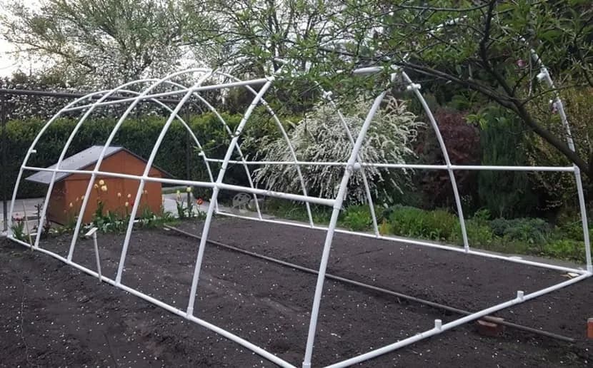 Jak stworzyć mini szklarnię DIY - proste i tanie pomysły na uprawy